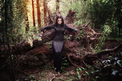 The Ancient Pagan Traditions of the Mystic Forest  Witch in Mendon